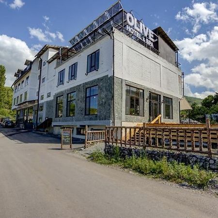 Olive Ala-Archa Hotel & Spa Verkhnyaya Alaarcha Bagian luar foto