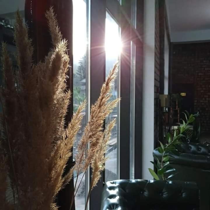 Olive Ala-Archa Hotel & Spa Verkhnyaya Alaarcha Bagian luar foto